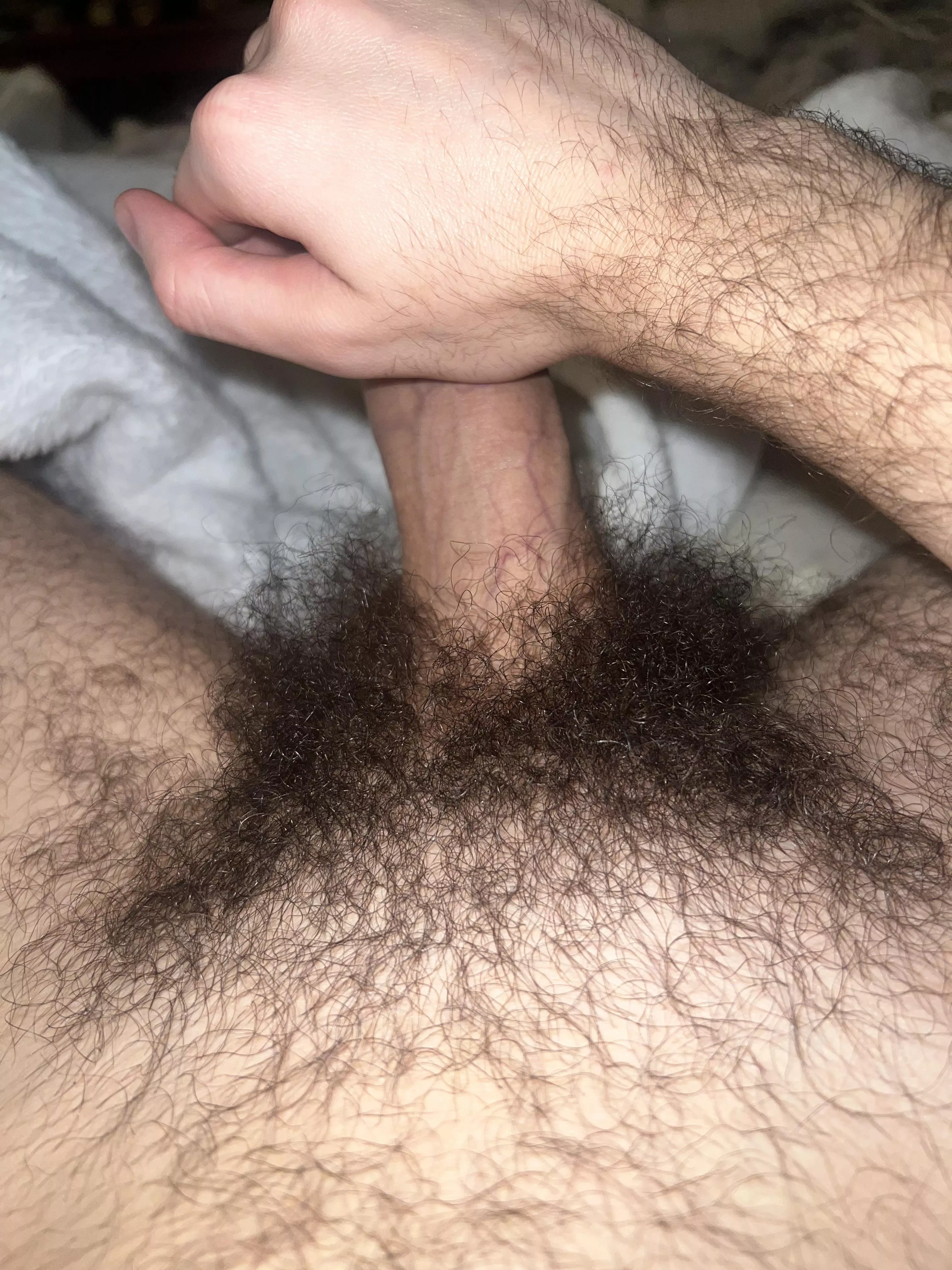 big hairy bush
