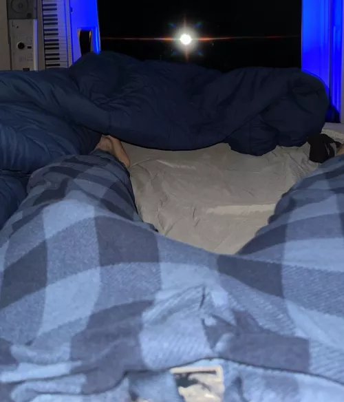 Do you think the plaid camouflages this morning wood?