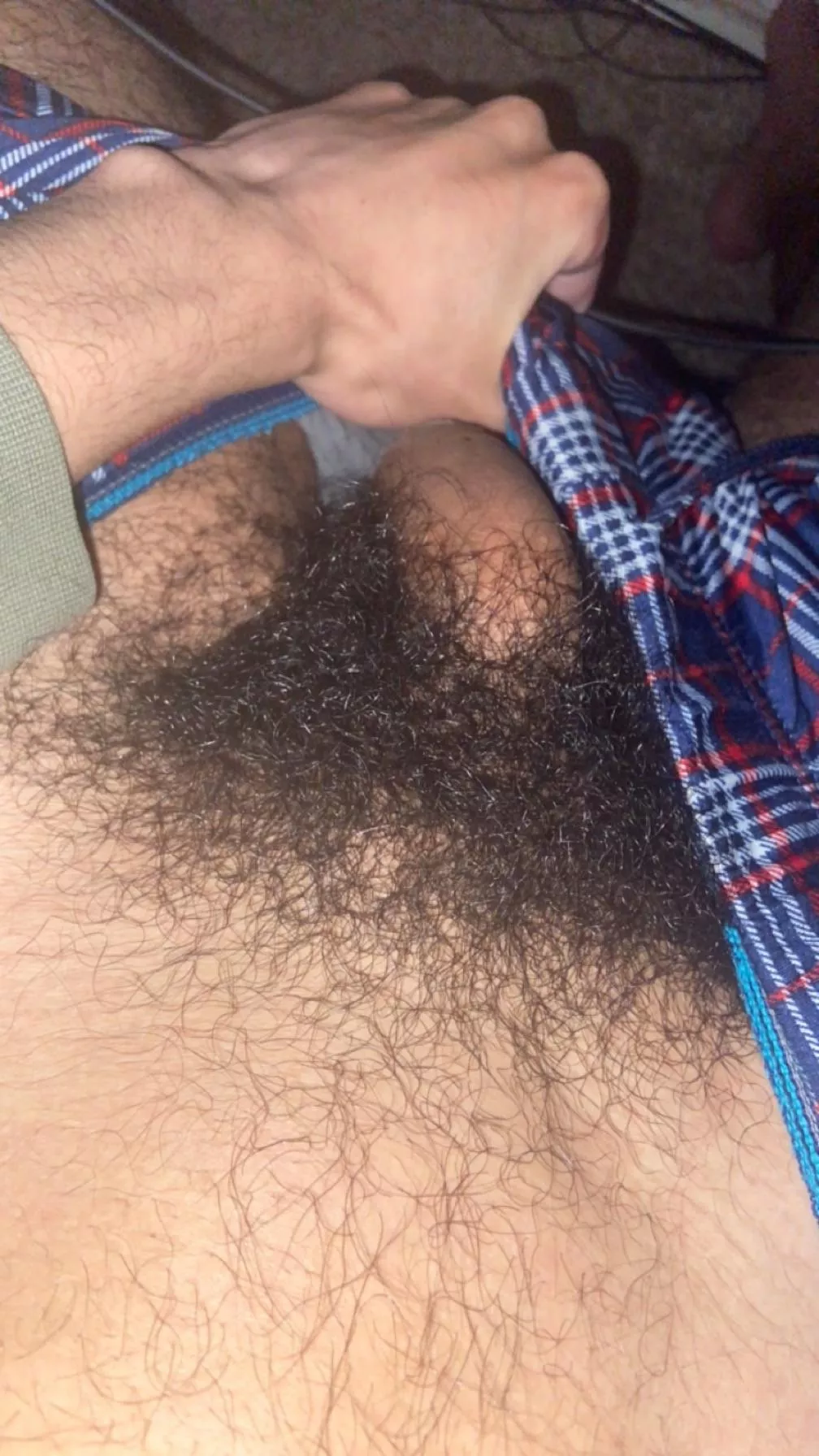 hairy softy