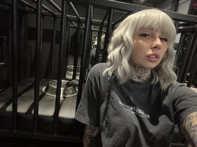 Here for your pleasure.