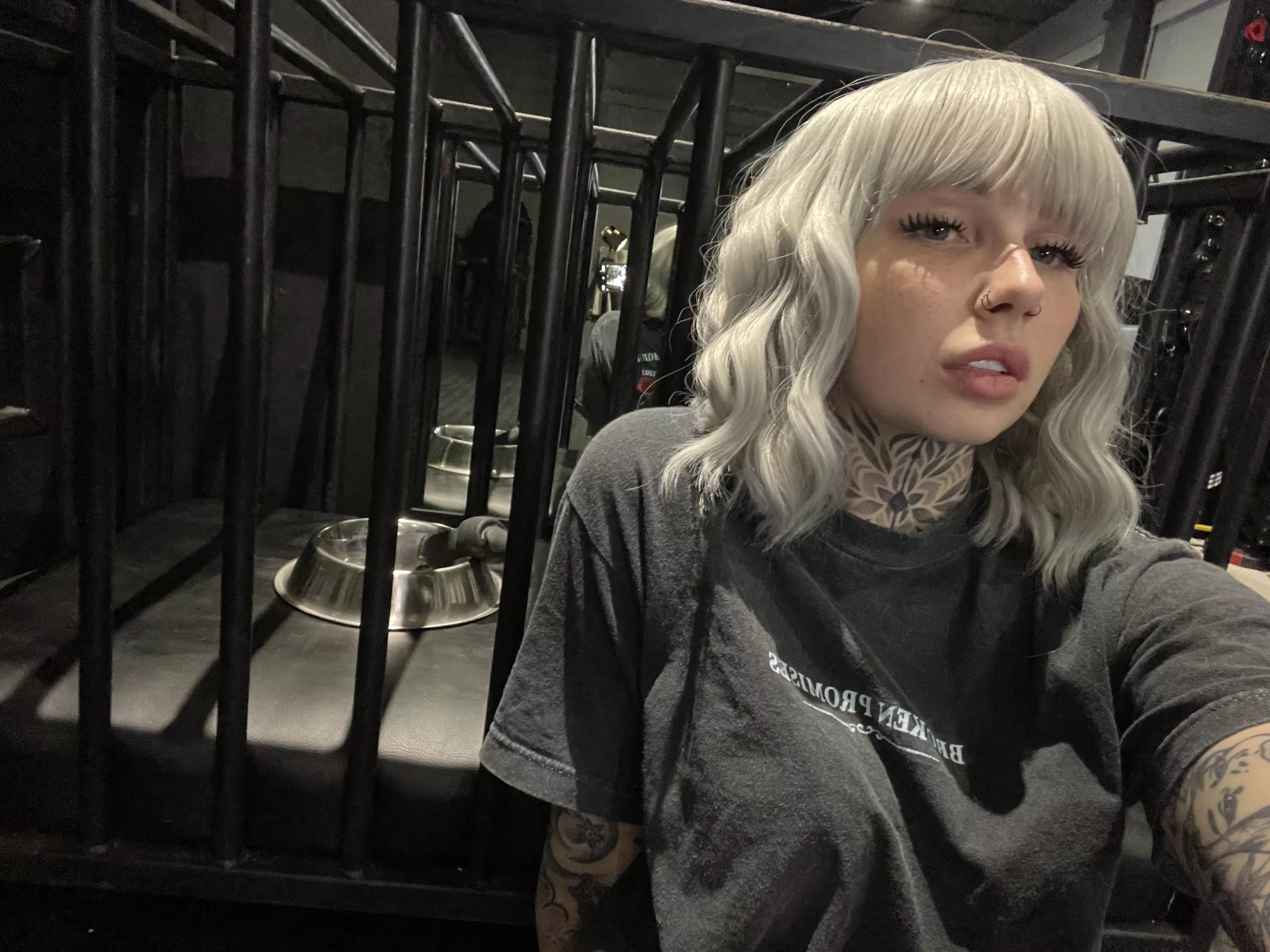 Here for your pleasure.