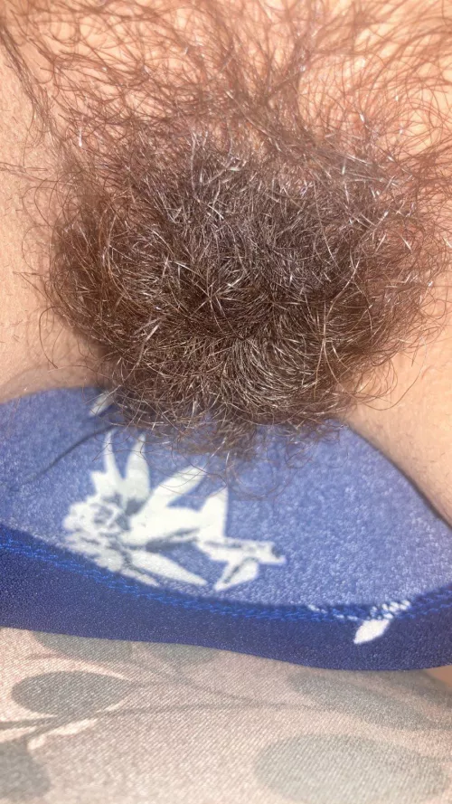 I'd say my bush is pretty full