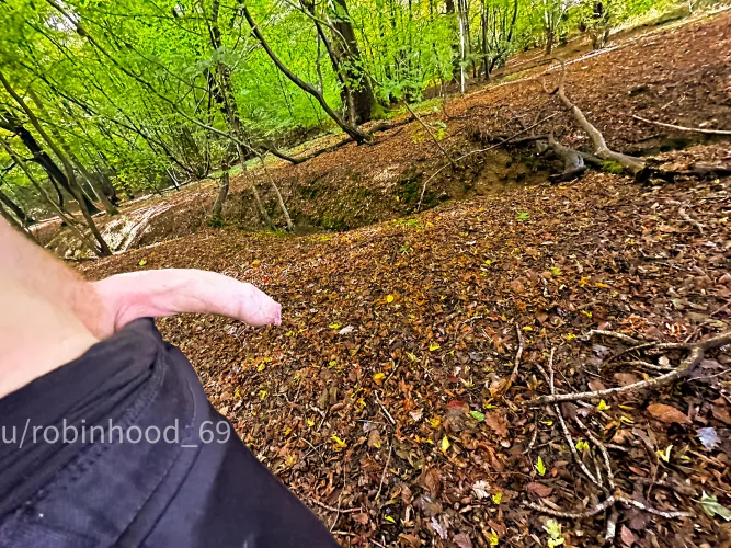 In nature, penis in the woods tastes better