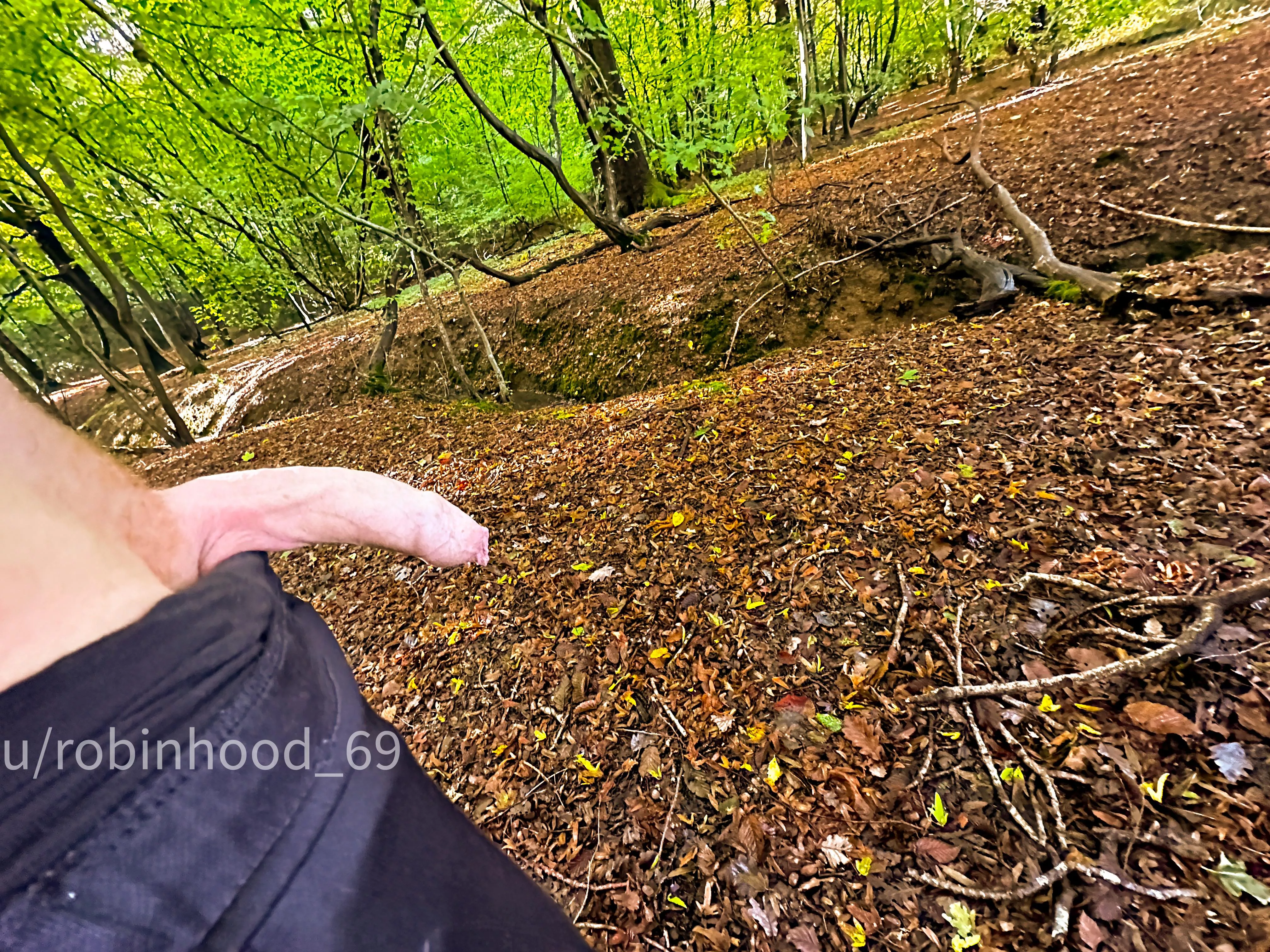 In nature, penis in the woods tastes better