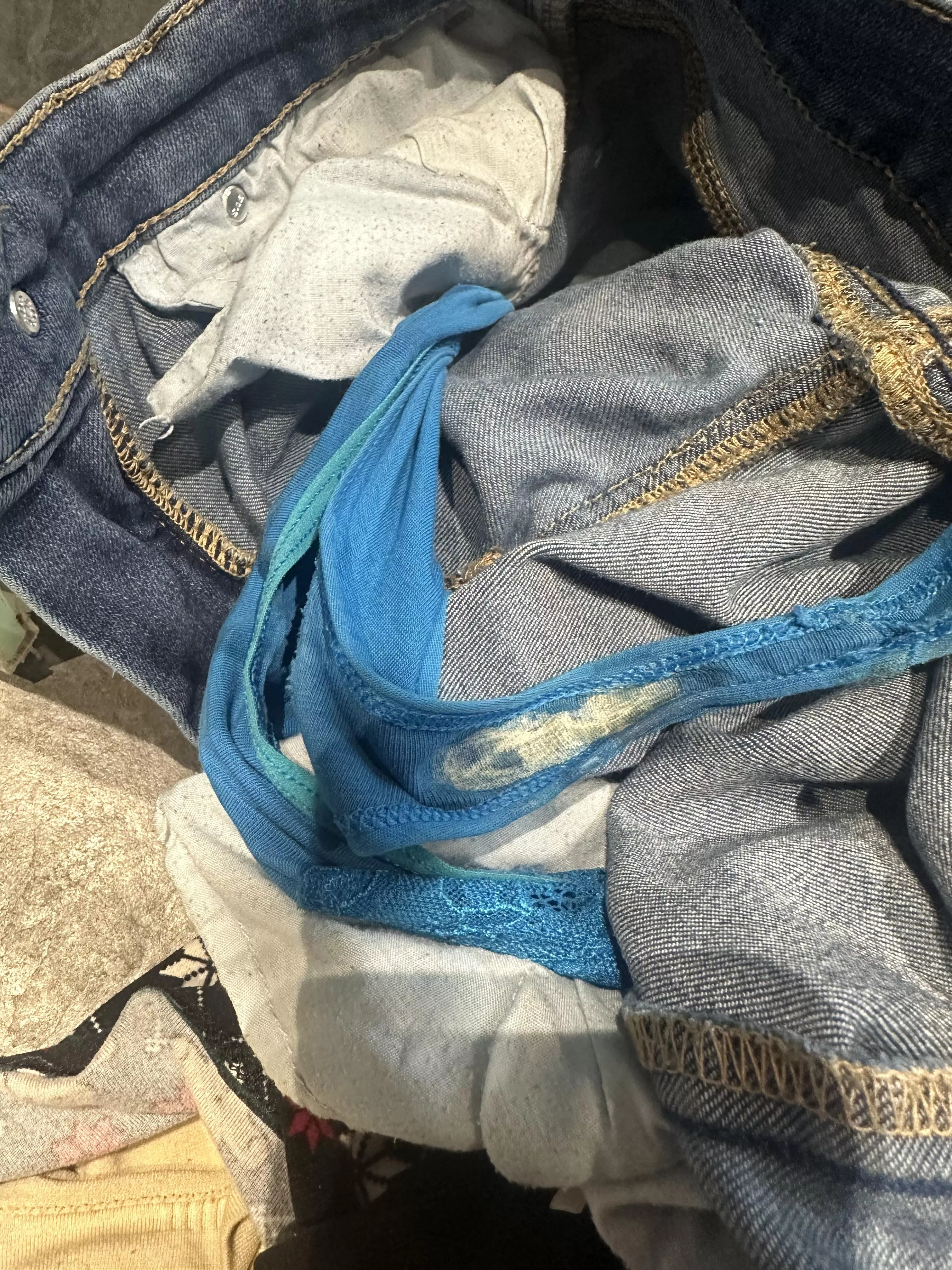 my wife's panties I think she is in heat