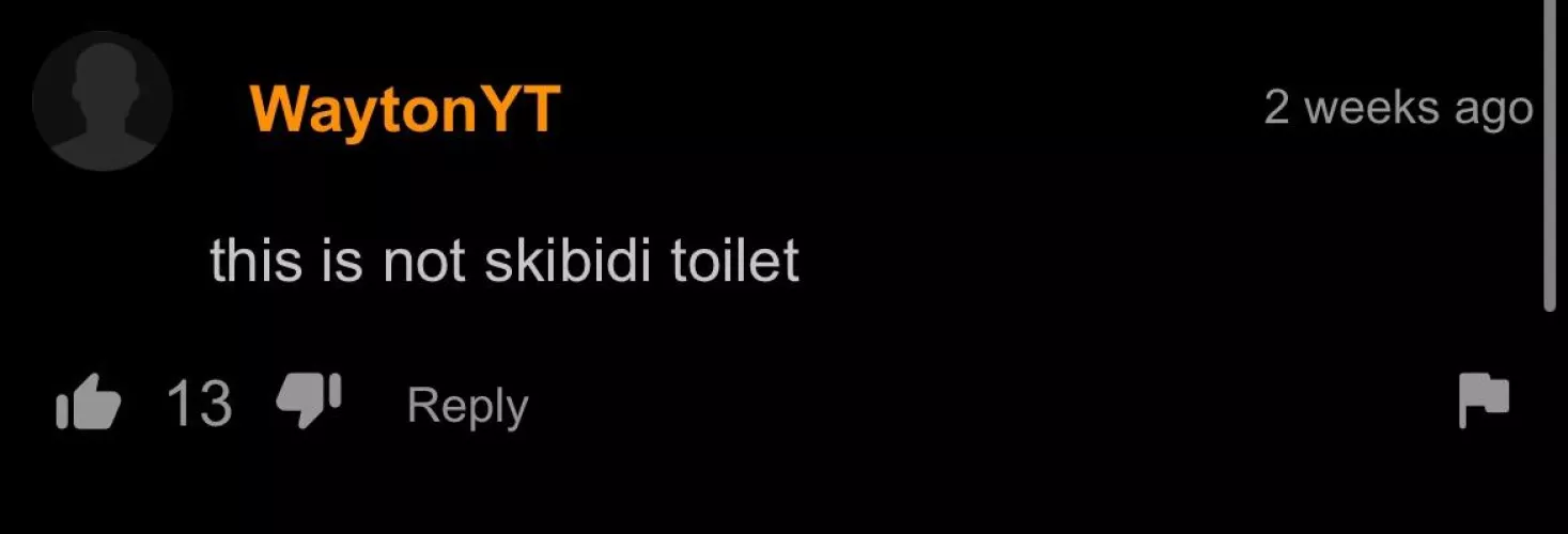 Skibidi toilet!!