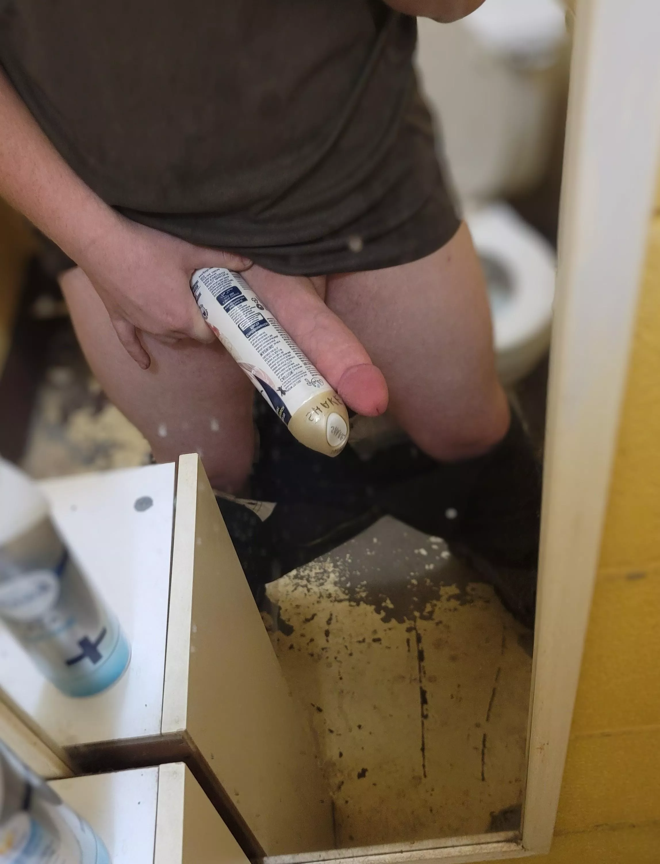 Anyone in need of a young BWC?