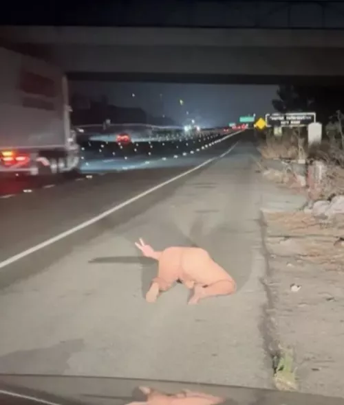 Giving the truckers a view