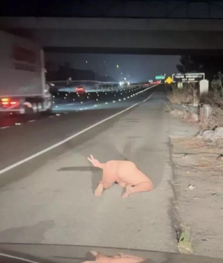 Giving the truckers a view