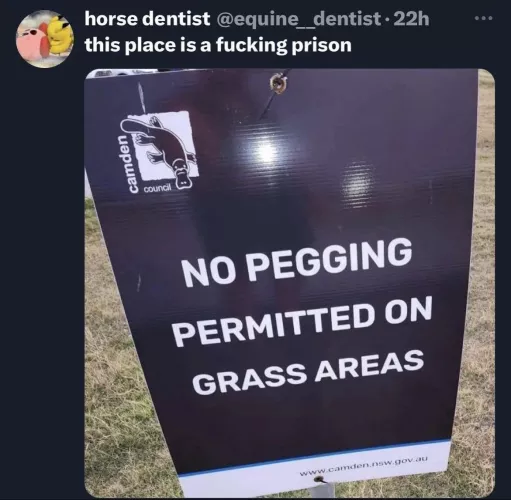Horse Dentist is speaking facts