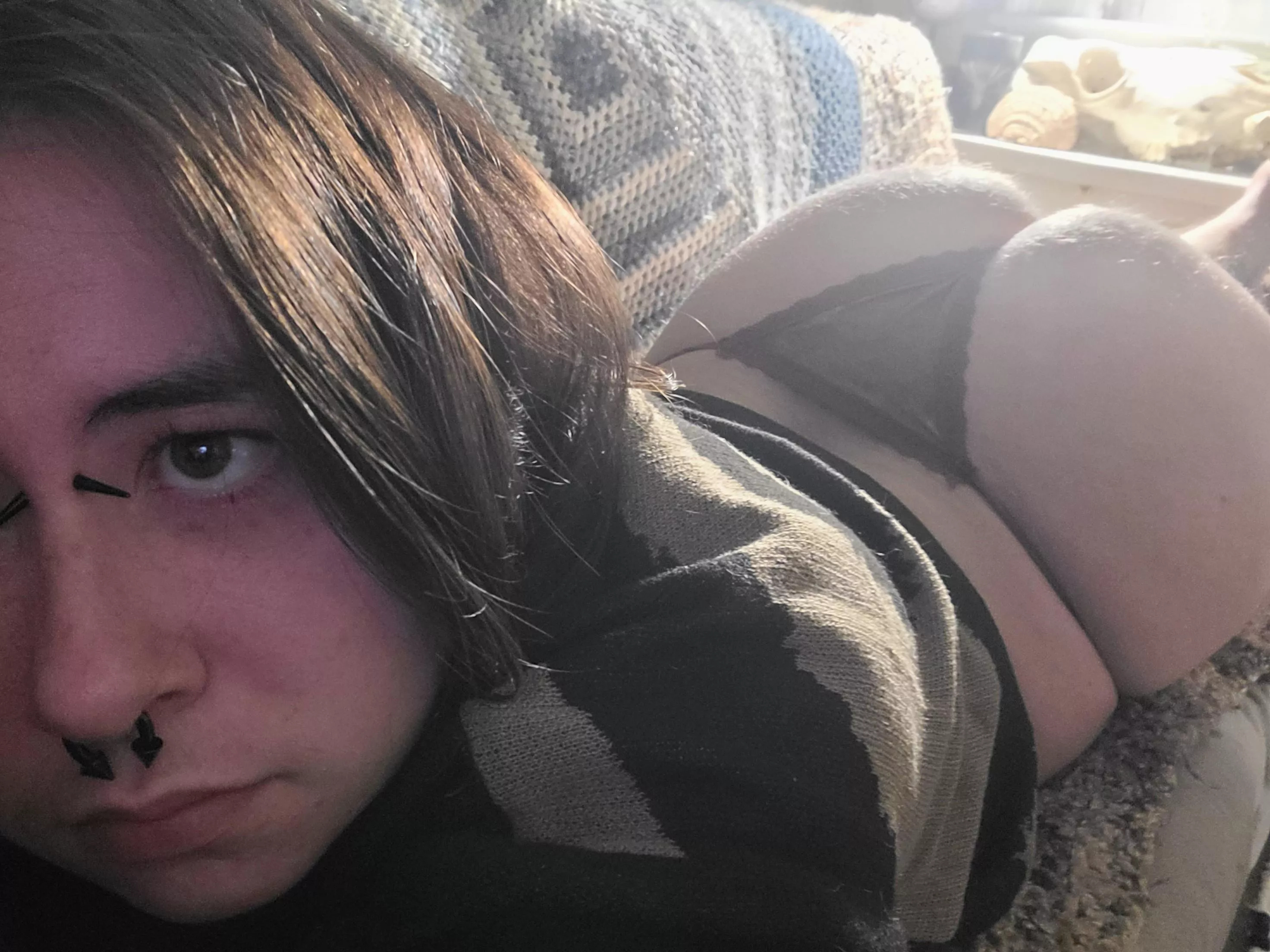 Just a comfy boi on the couch 🦊