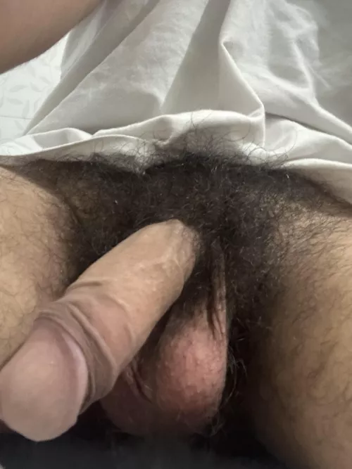 Should I trim them or shave them?