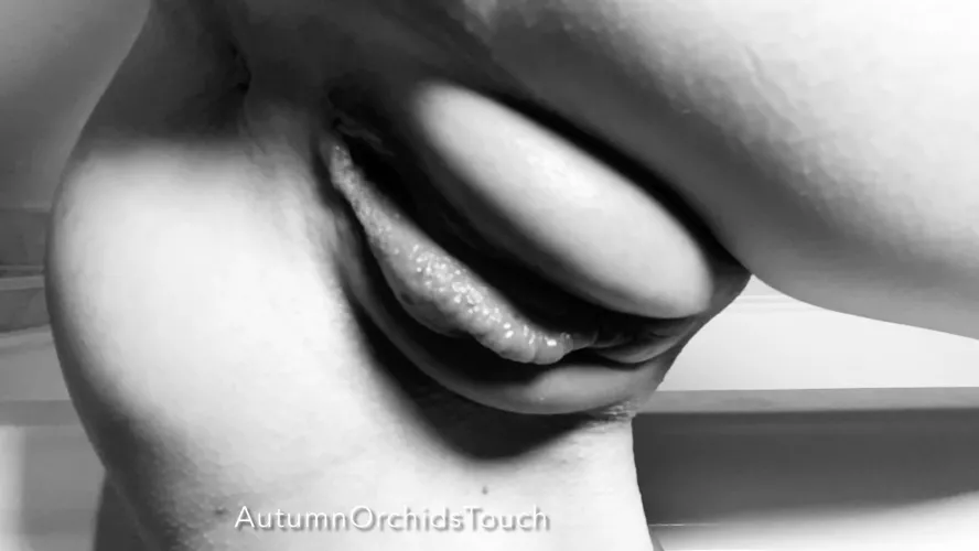 This is what happens when one of your inner labia doesn’t get [f]ully pulled into the pump… 🖤