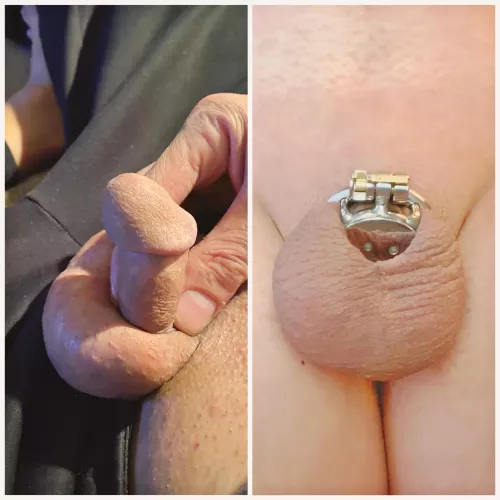 This is why chastity is the only option.