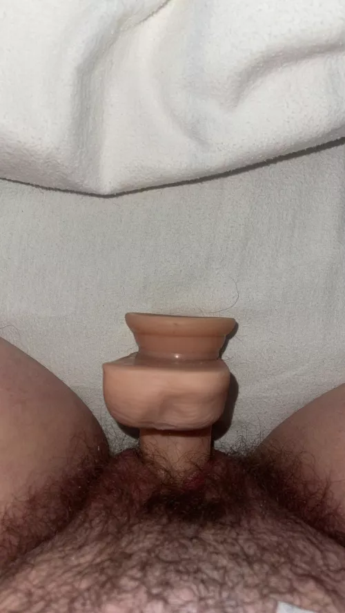 Come replace my toy x