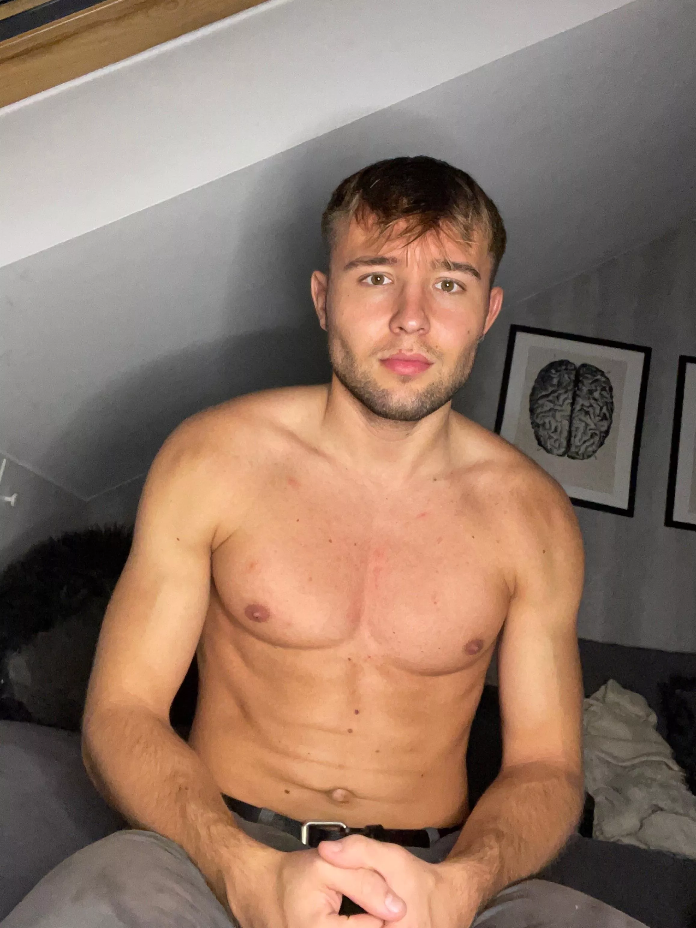 I wanna fill your holes