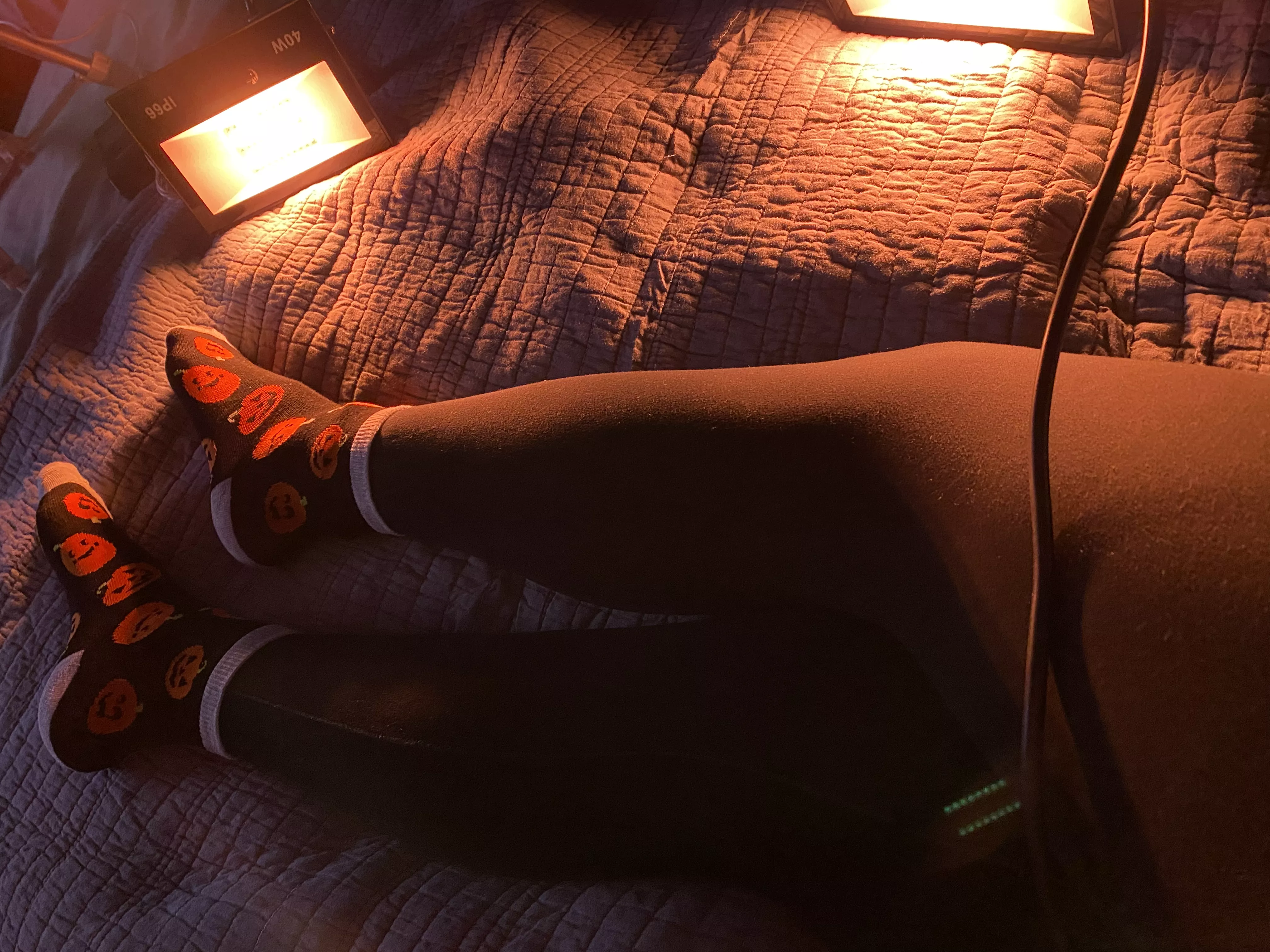 Trying to warm up my pumpkins... Happy Halloween ;)