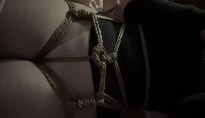 A little hip harness I made following the rope