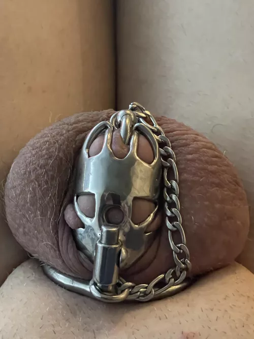 After being locked 24/7 for two years