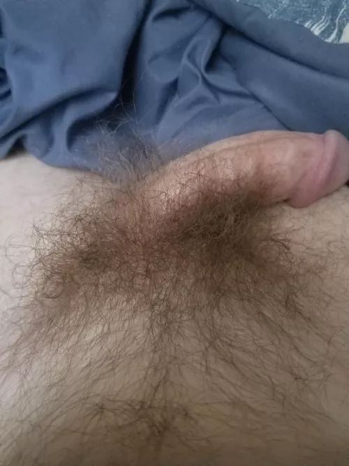 Be honest, is it too long? My bush I mean...