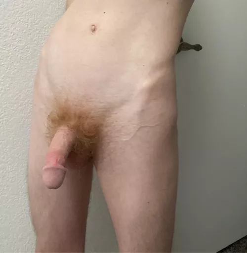 Do you like my red bush?