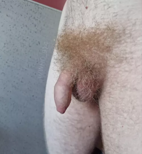 Hairy softie and balls