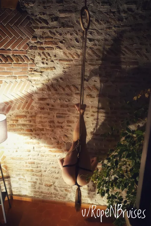 inspired by the high ancient ceilings