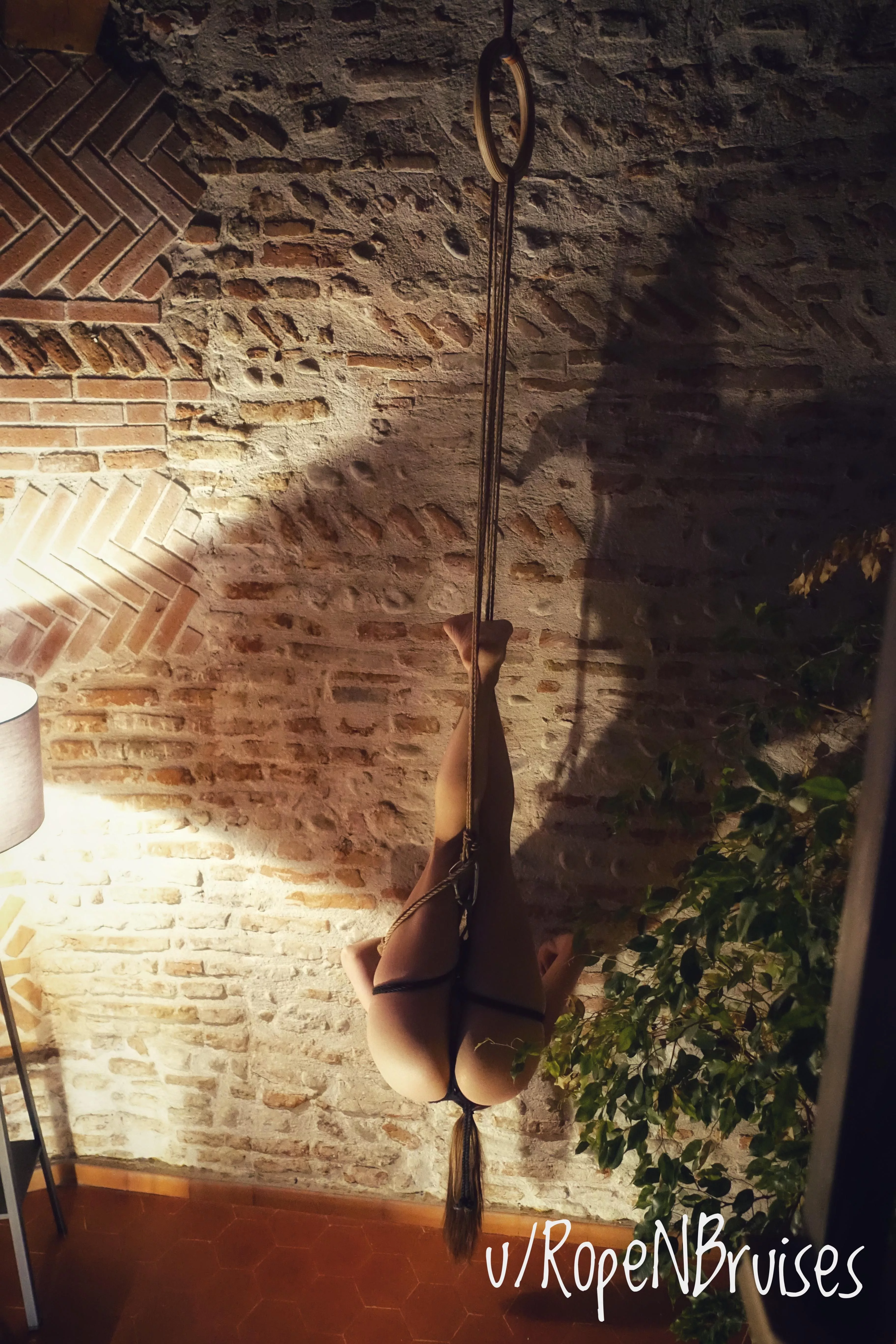 inspired by the high ancient ceilings