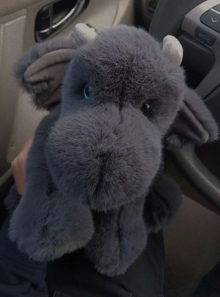 Mister surprised me with this guy the other day 🥺😭