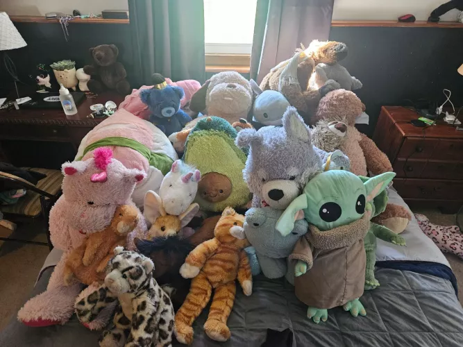 Stuffies