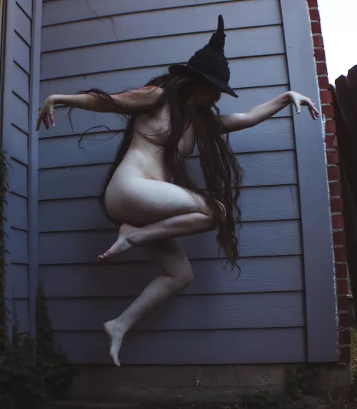 take wing (self shot)