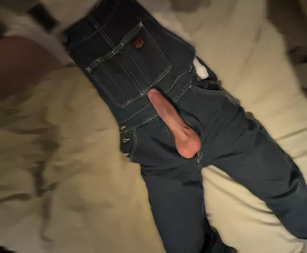 What do you think of my new overalls?