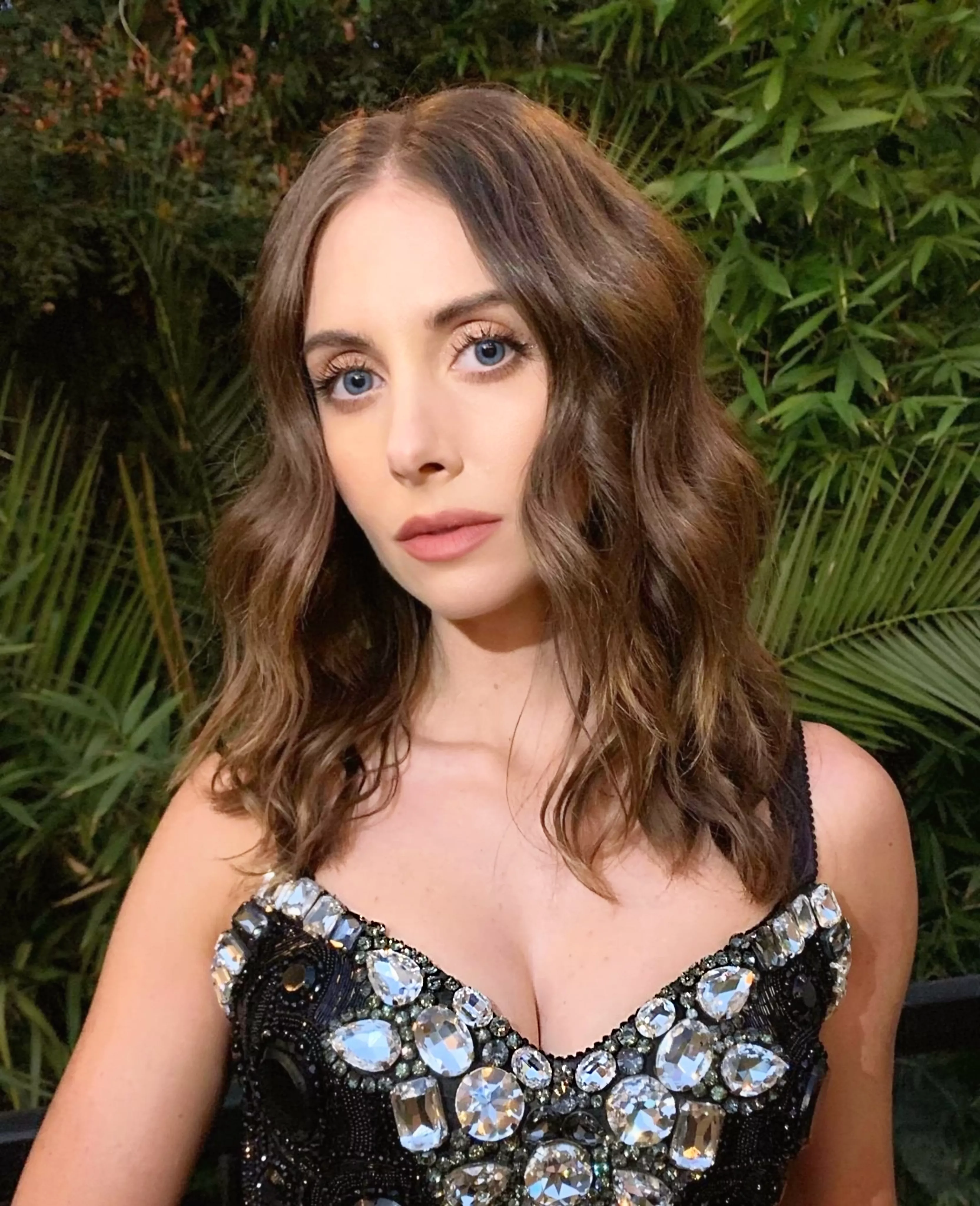 Alison Brie