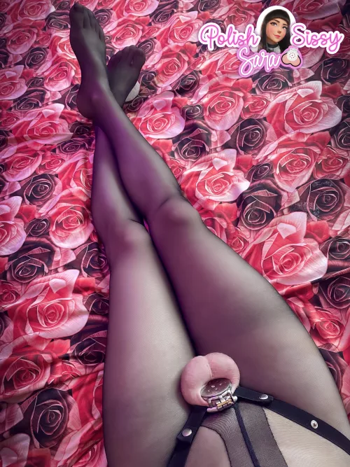 Is this cage small enough?