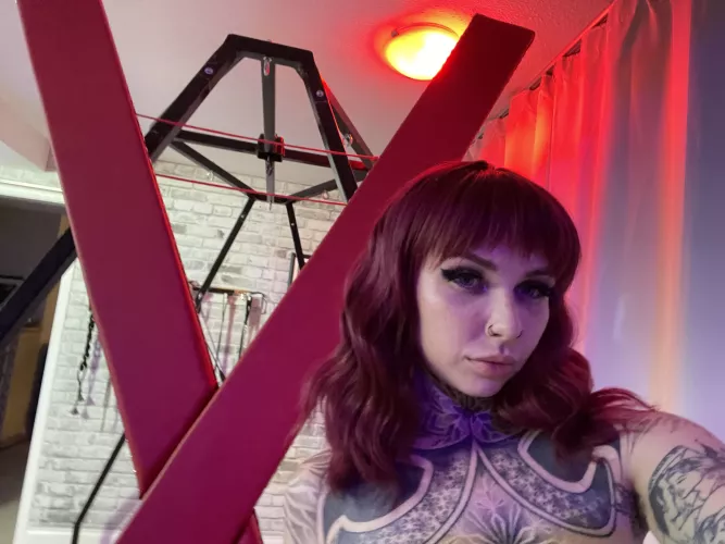 Let me ride you properly