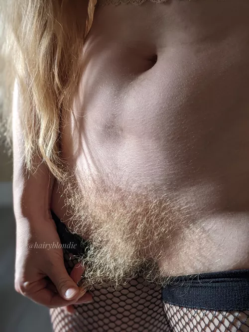 Natural blonde bush - the 8th wonder of the world