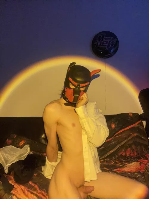 Puppy boy Shedding work clothes after a long day