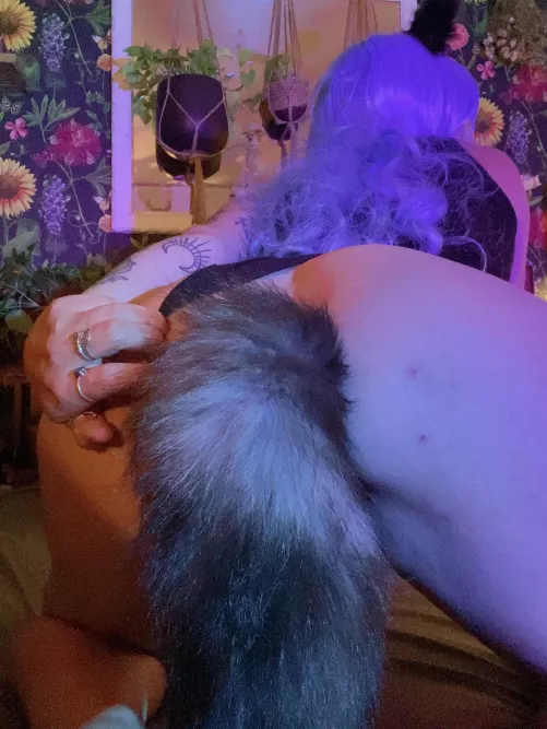 which is sexier, the tail or the ears?