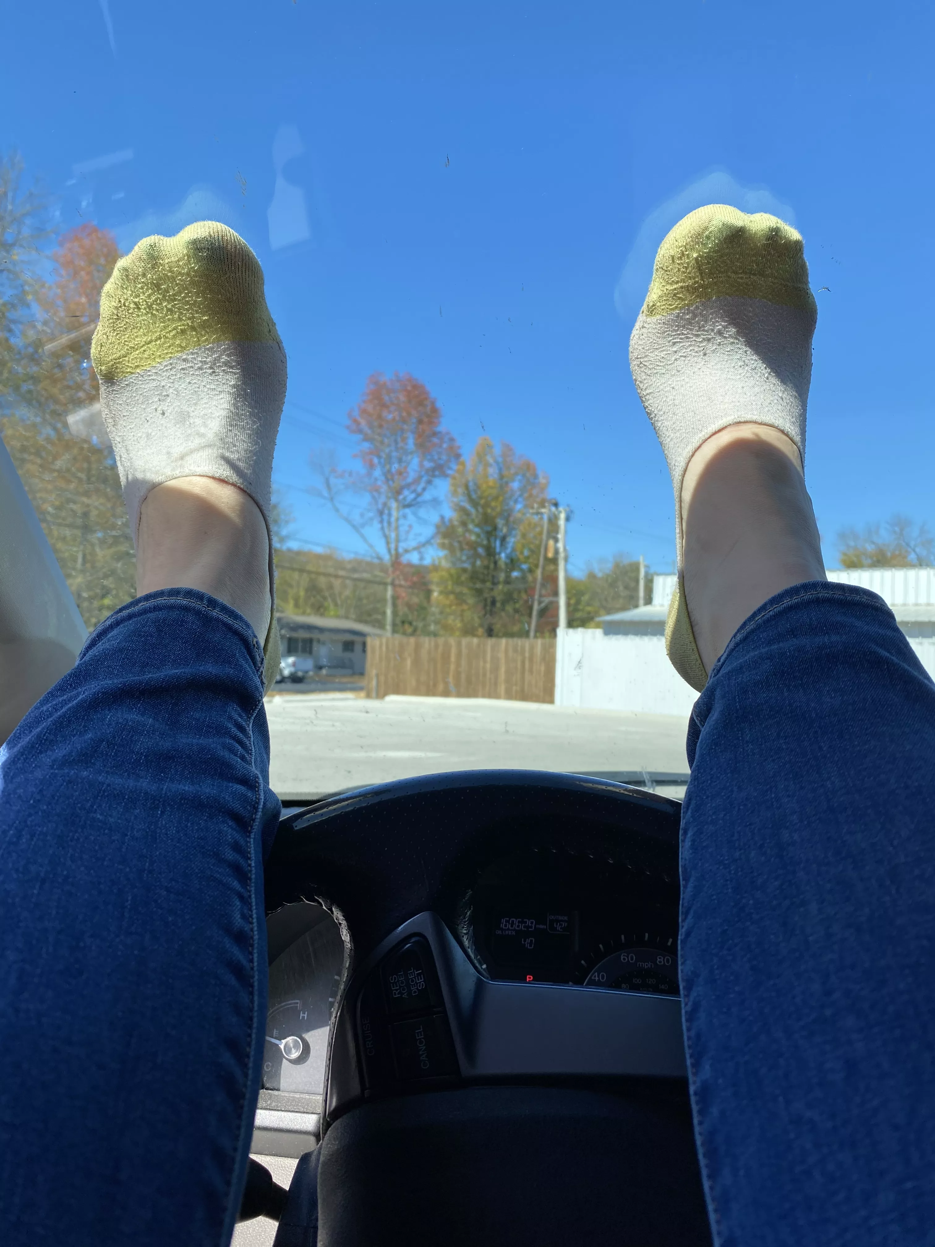 Wish I could have taken this pic from the other side of the window