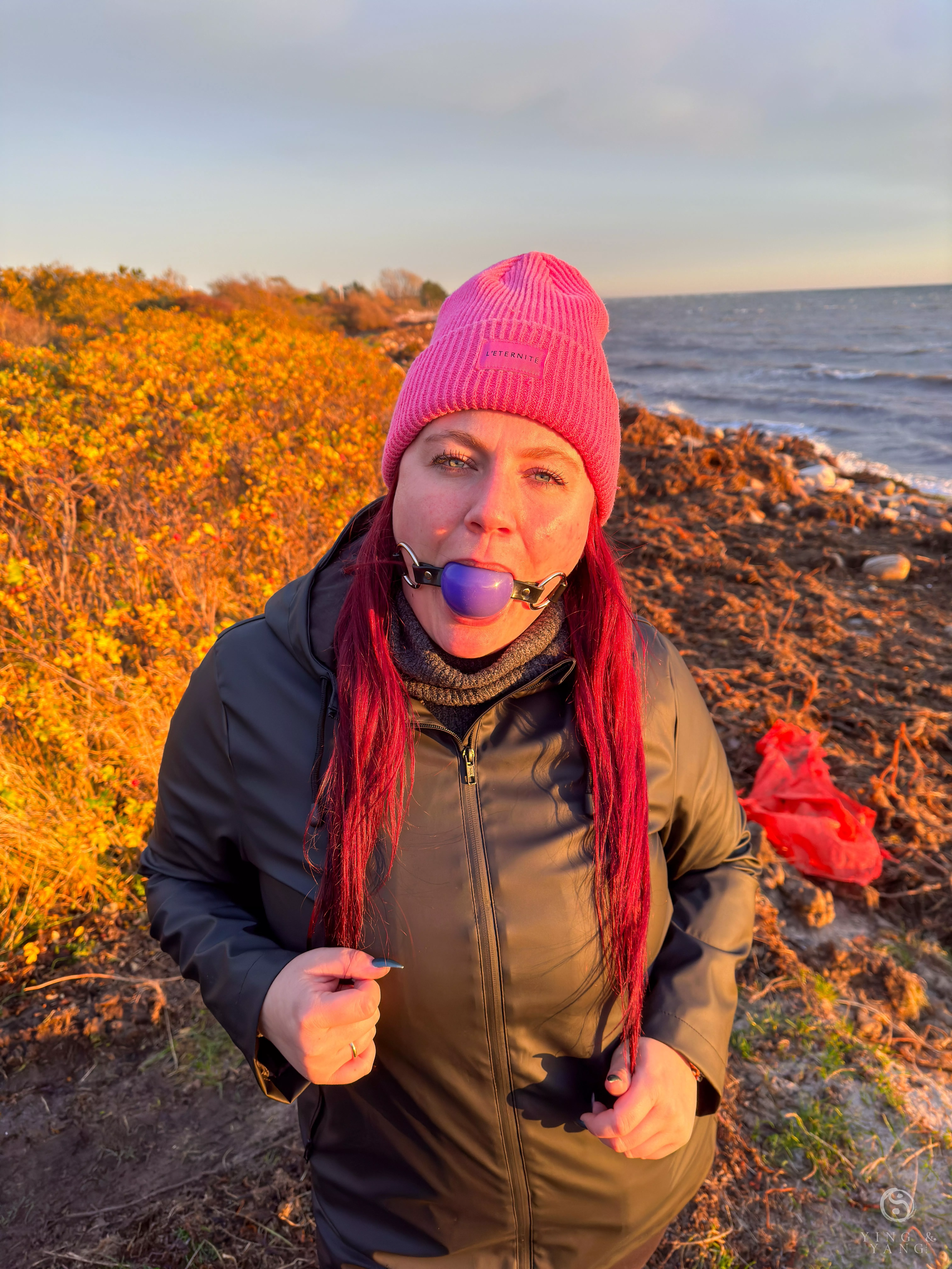 Beautiful sunset at the danish coast