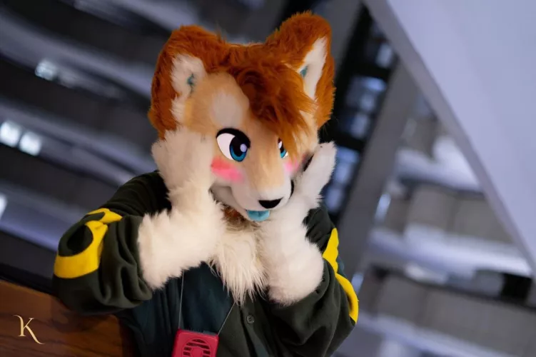 Happy Fursuit Friday! 🐾🐾