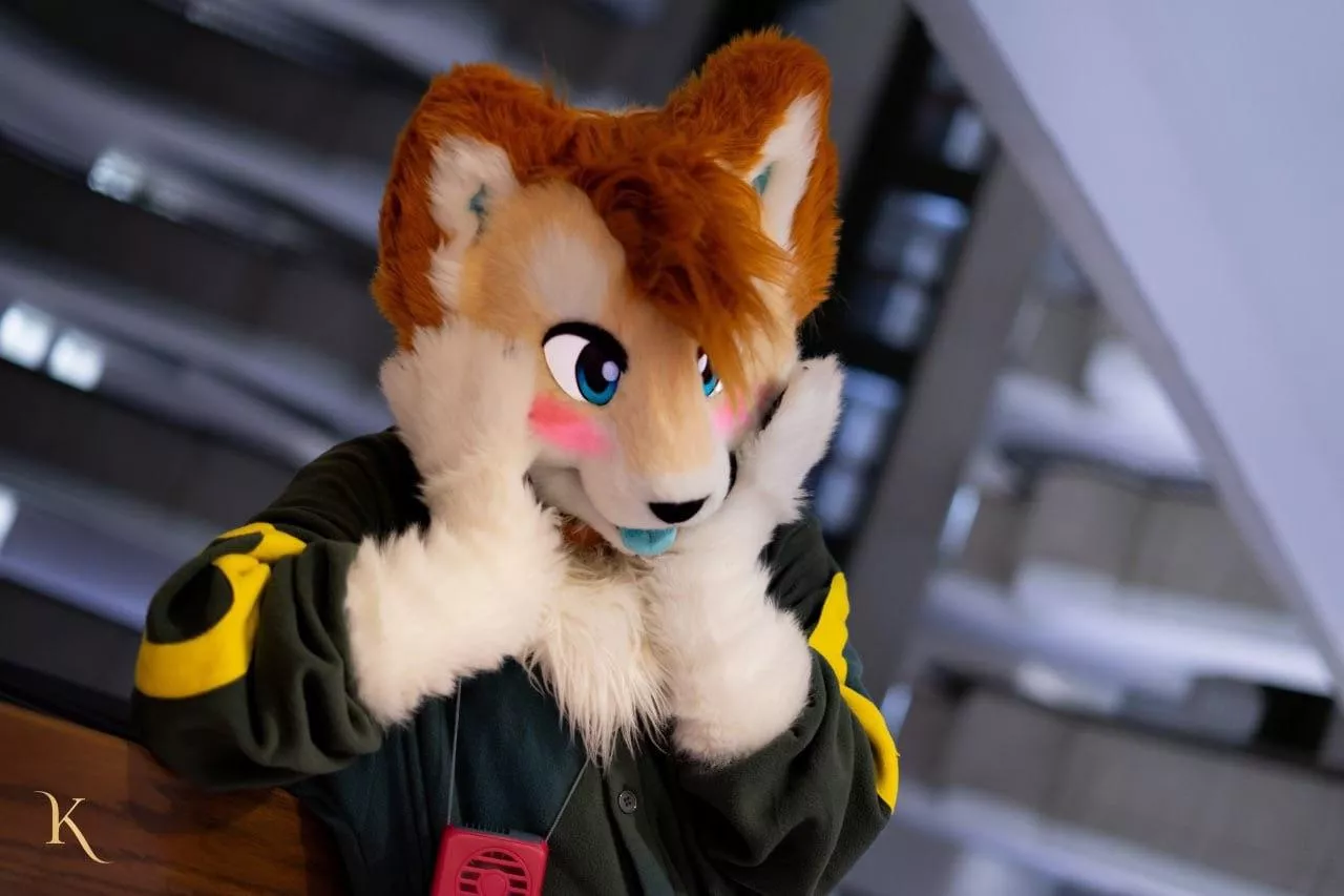 Happy Fursuit Friday! 🐾🐾