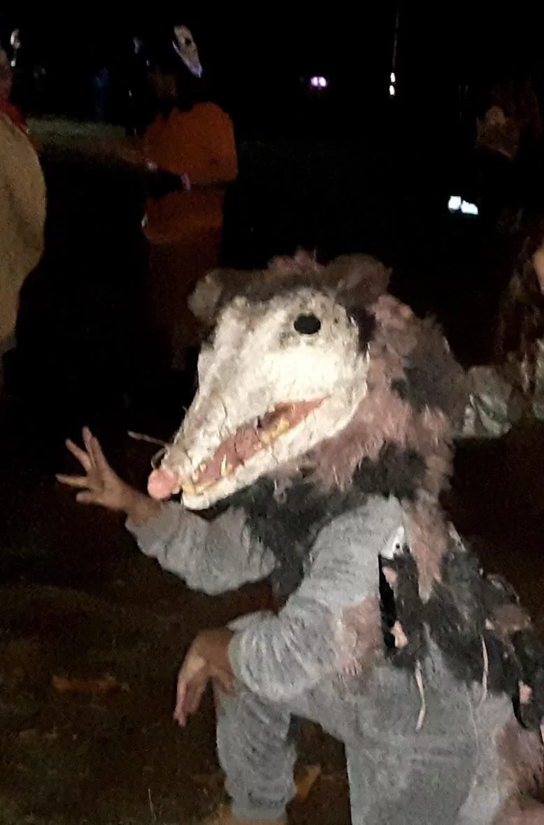I was texting my mom and she told me she went to a Halloween party where she encountered this fursuit. She told me the lady made it all by hand. To me, this is so blursed I had to share