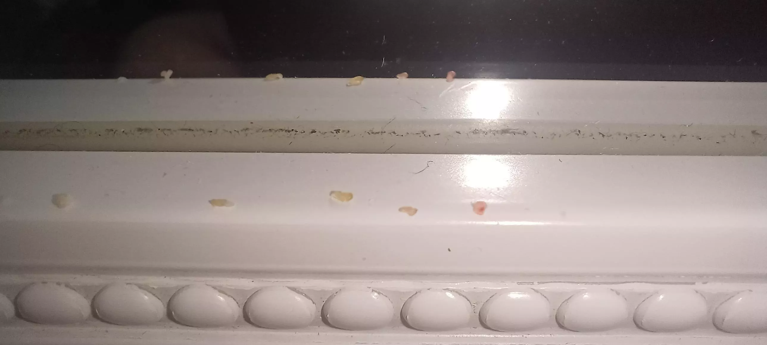 Just shaved my mustache off for the first time in months. Apparently, I've been harboring these fugitives right on my upper lip.