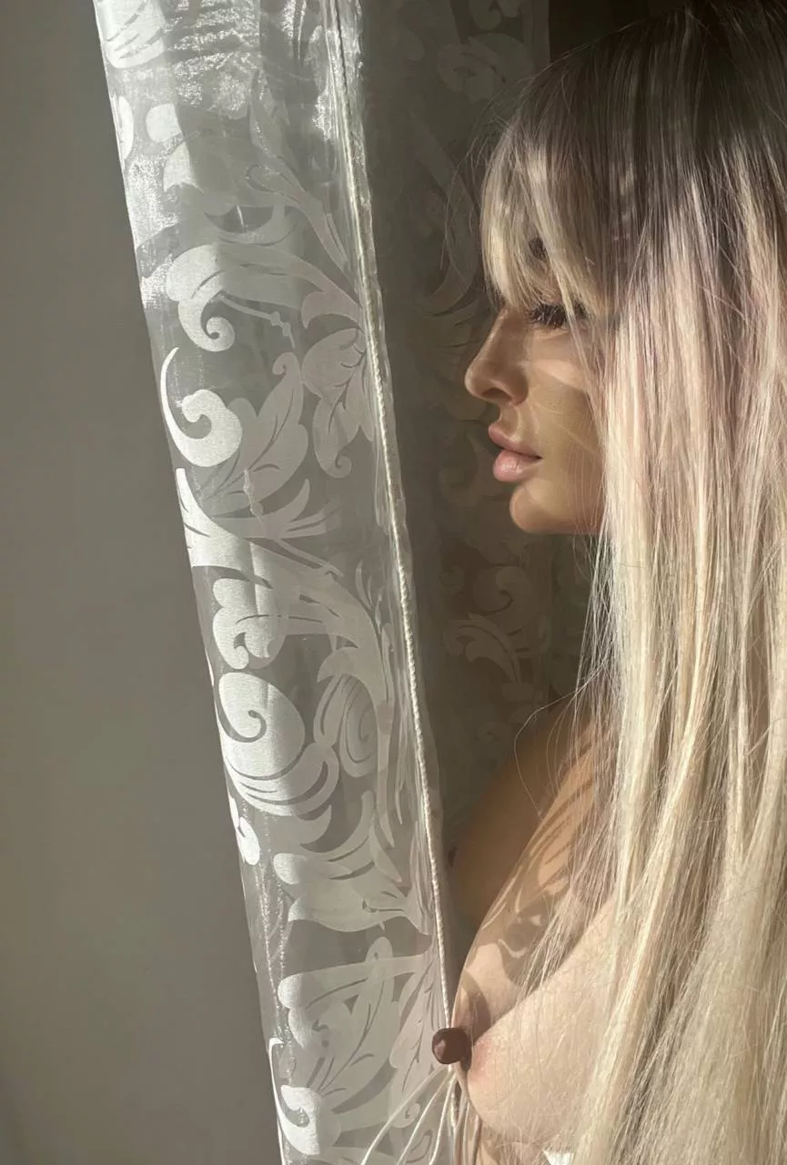 Majestic pancake tits