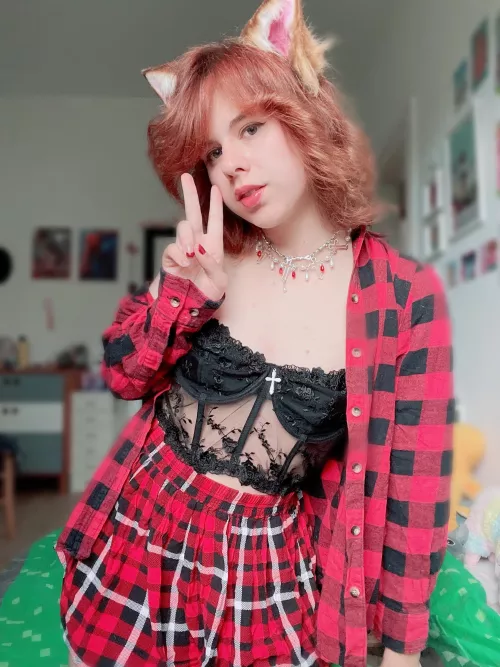 say hi If you’d pet a catboy