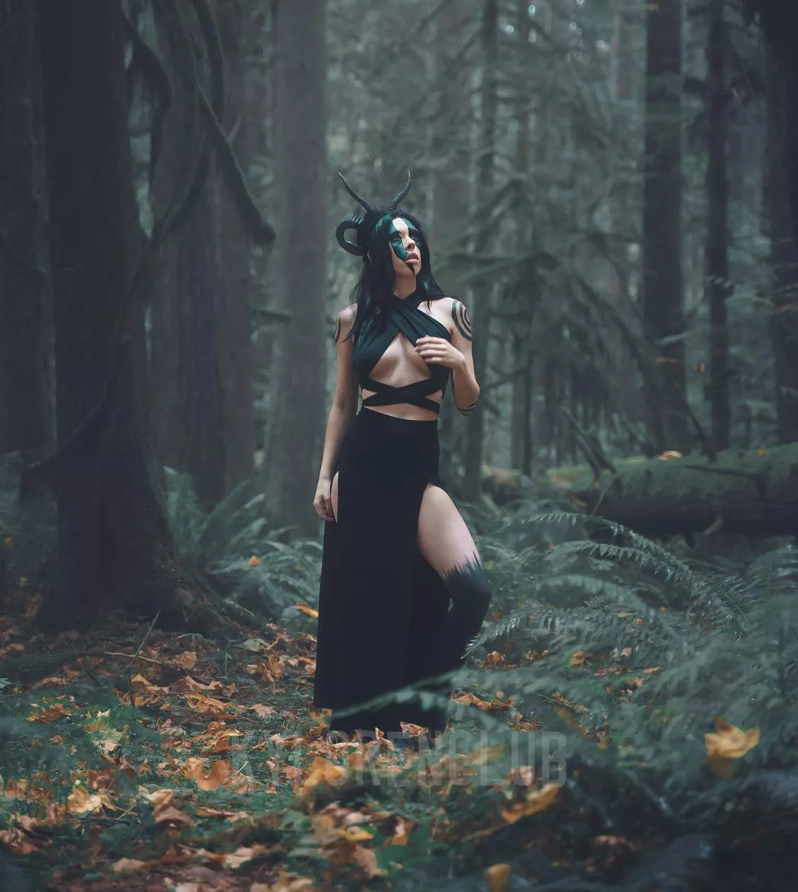 Succubus in the woods (KyloRenClub)