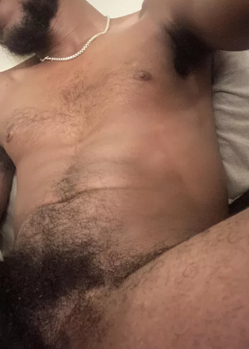 Where are you gonna sniff first?