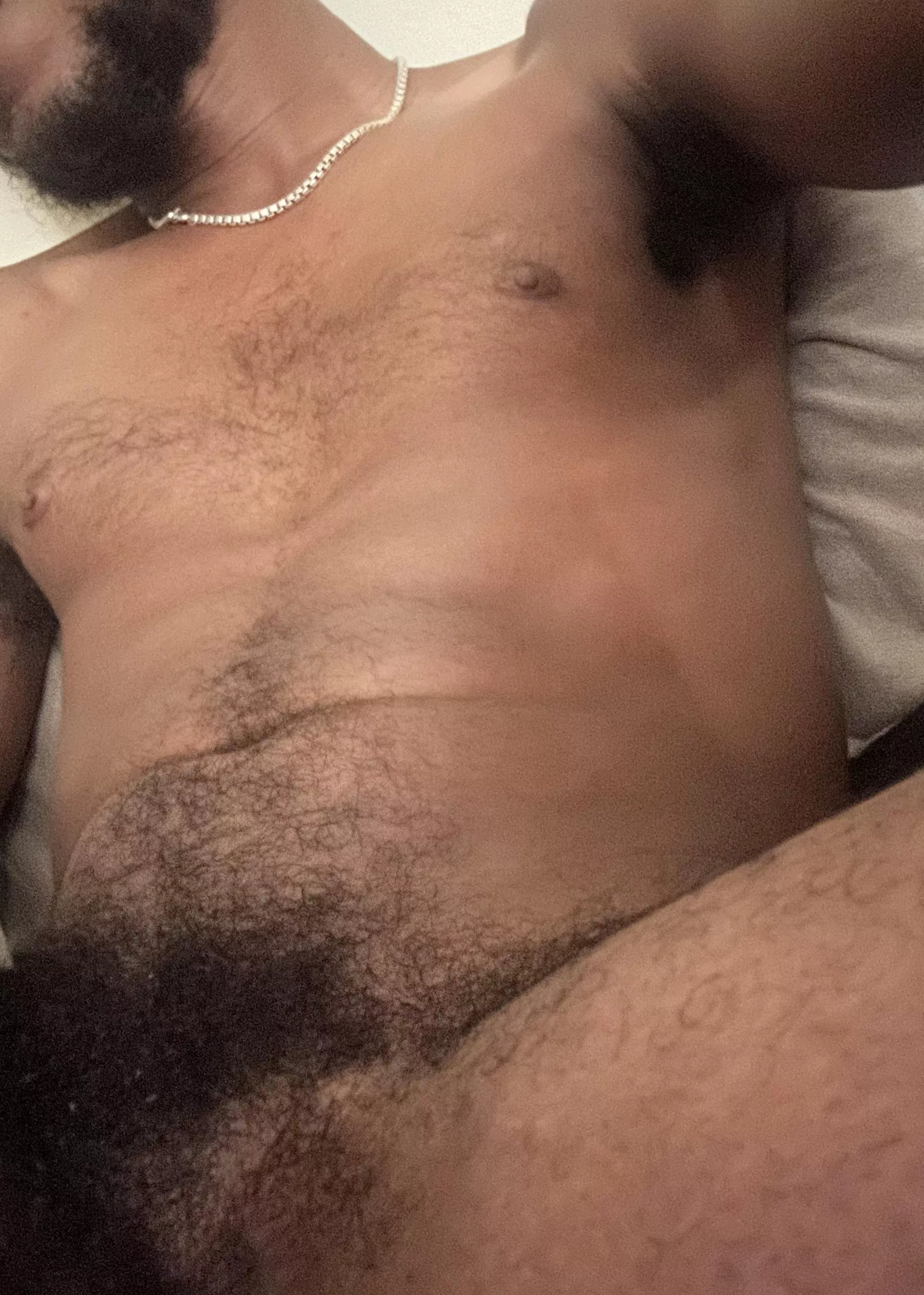 Where are you gonna sniff first?