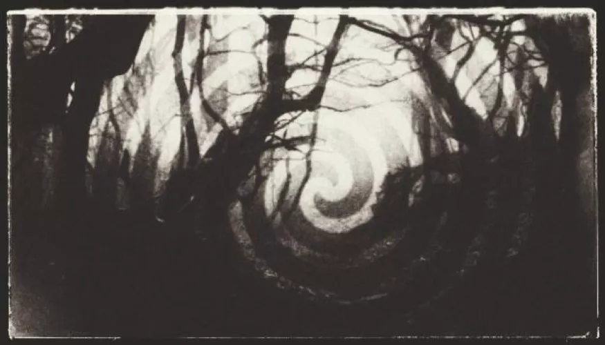 Carrier of the Dark Forest (Sybiotic Story)